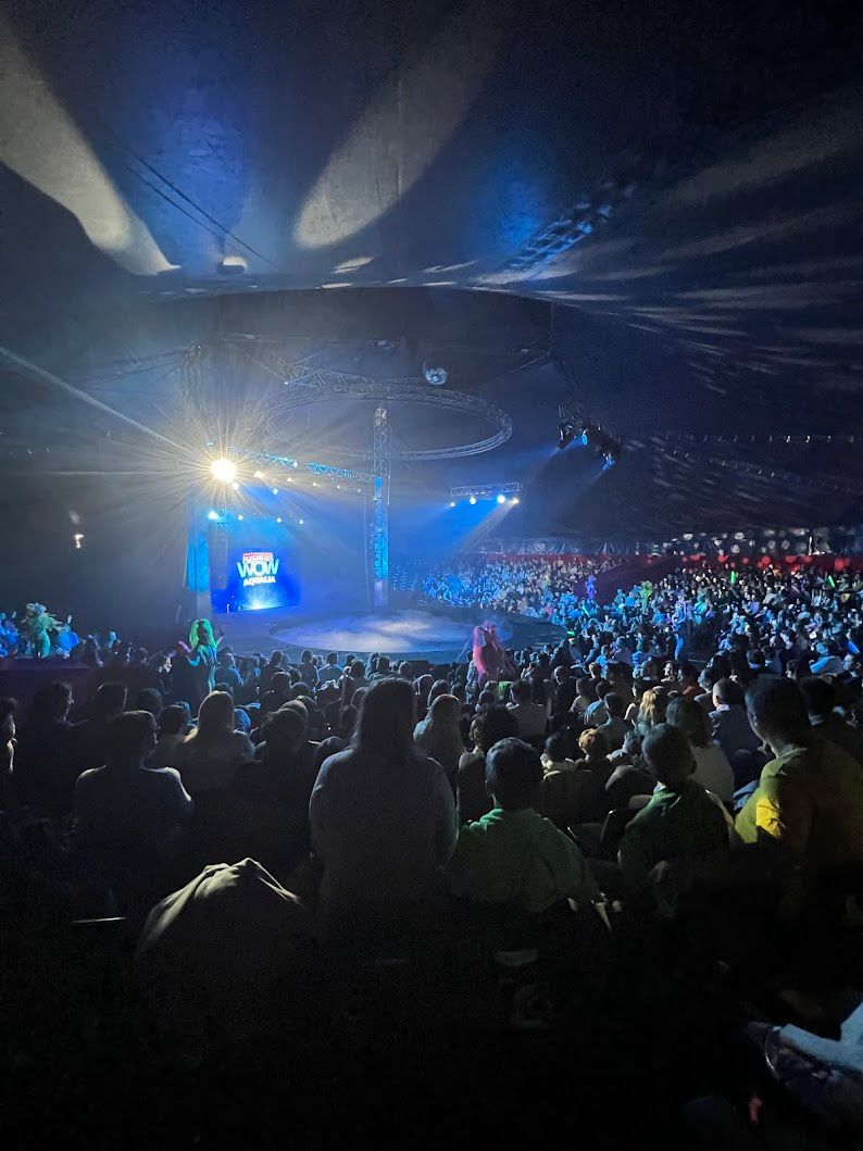Carpa de circo profesional